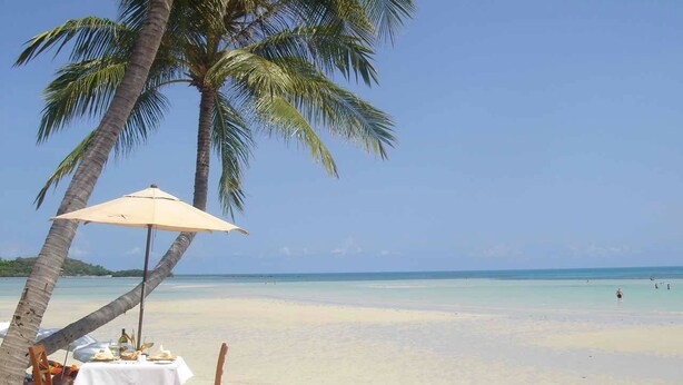 A beach setting with a table and chairs under a palm tree, overlooking a clear blue sea. - Marina Beach Resort (Koh Samui)