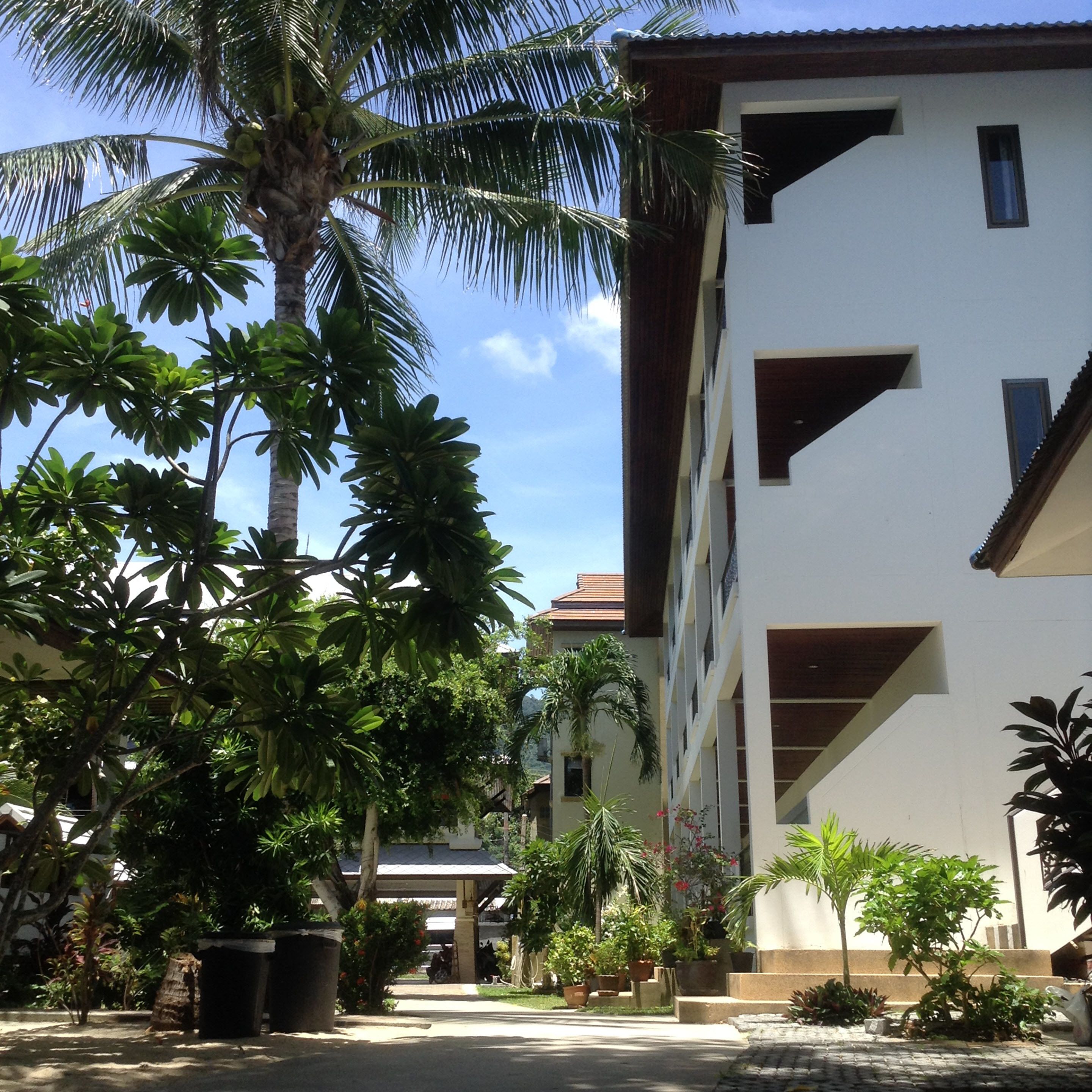 A building with a white facade and dark brown accents, surrounded by lush greenery including palm trees and various plants.