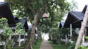 A pathway leading to a row of traditional-style buildings with sloped roofs, surrounded by lush greenery and palm trees. - Marina Beach Resort (Koh Samui)