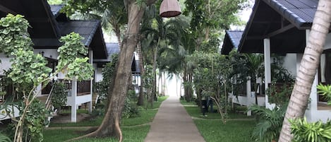 Un sendero conduce a una hilera de edificios de estilo tradicional con techos inclinados, rodeados de exuberante follaje y palmeras.