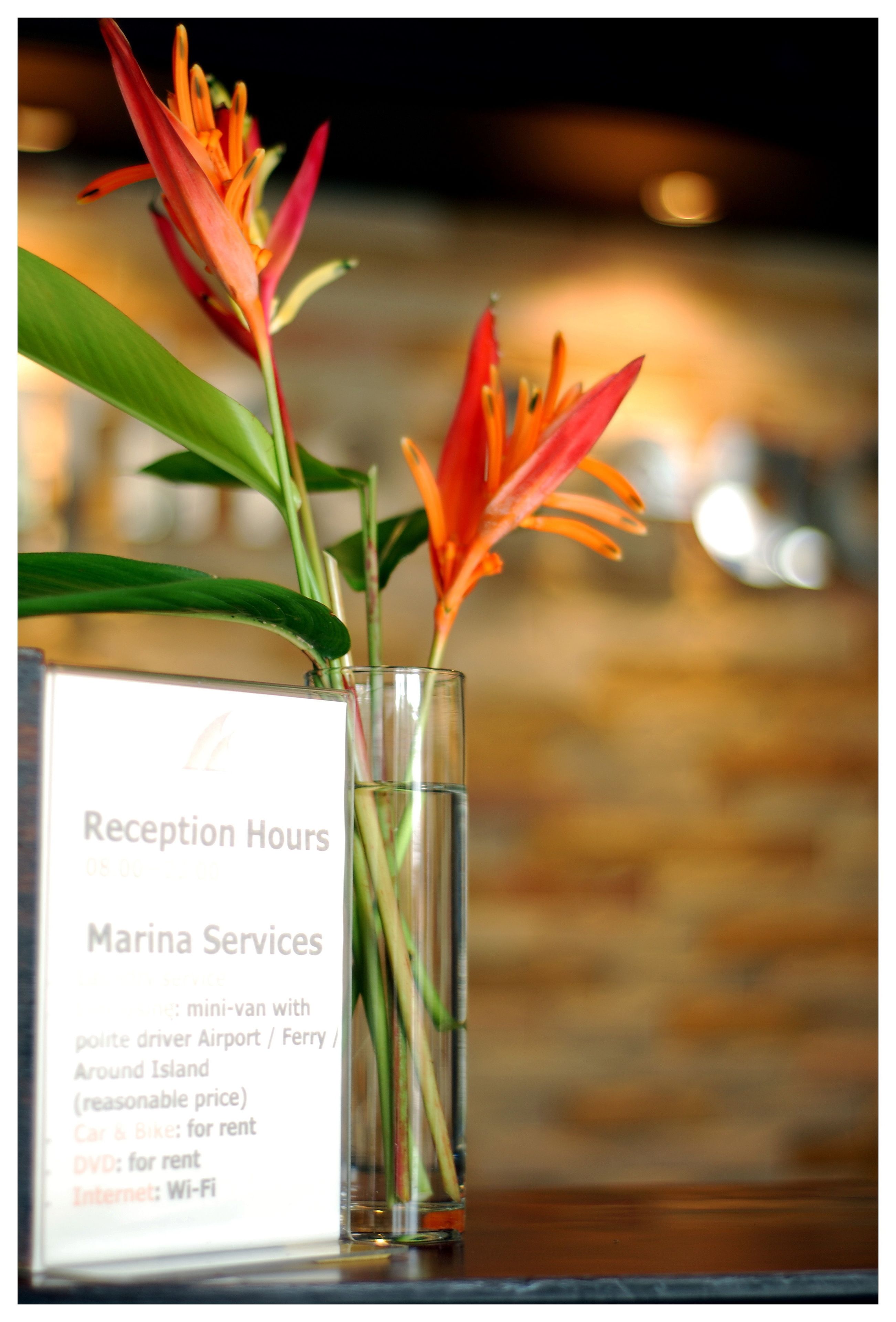 Foto - Marina Beach Resort - SHA Extra Plus