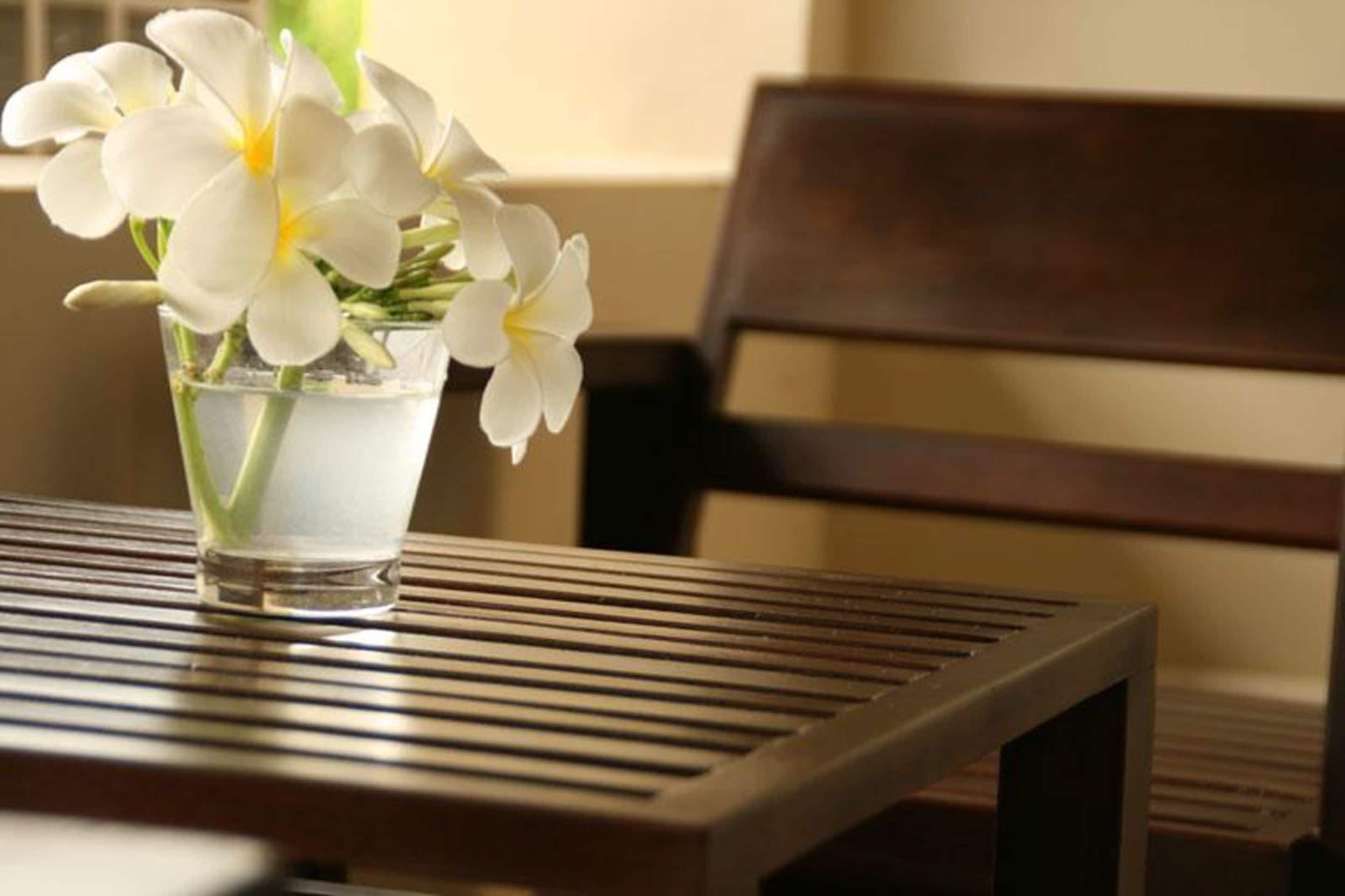 Foto - Marina Beach Resort - SHA Extra Plus