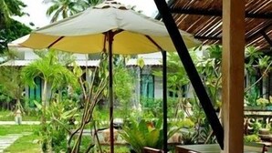 An outdoor patio with wooden tables and chairs, a yellow umbrella, and a view of a garden with palm trees. - The Gleam Resort (Satun)