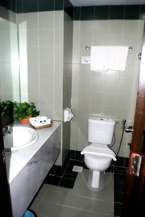 淋浴設備、吹風機、毛巾