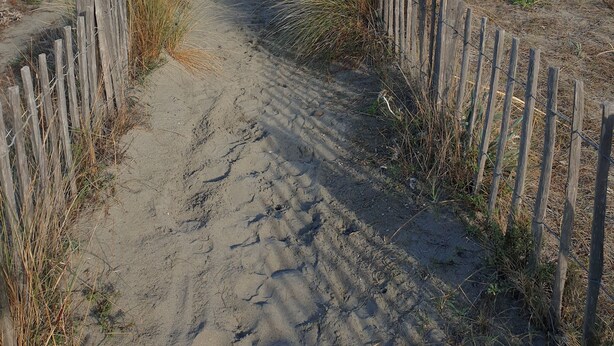 Una playa cerca