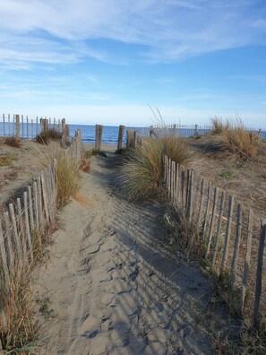 Beach nearby - Hôtel Le Lido (Lucciana)