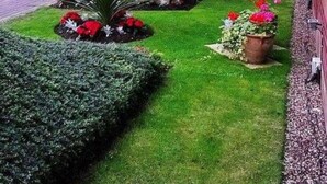 Un jardín bien cuidado con diversas plantas y flores, un sendero empedrado y un edificio con techo de tejas.