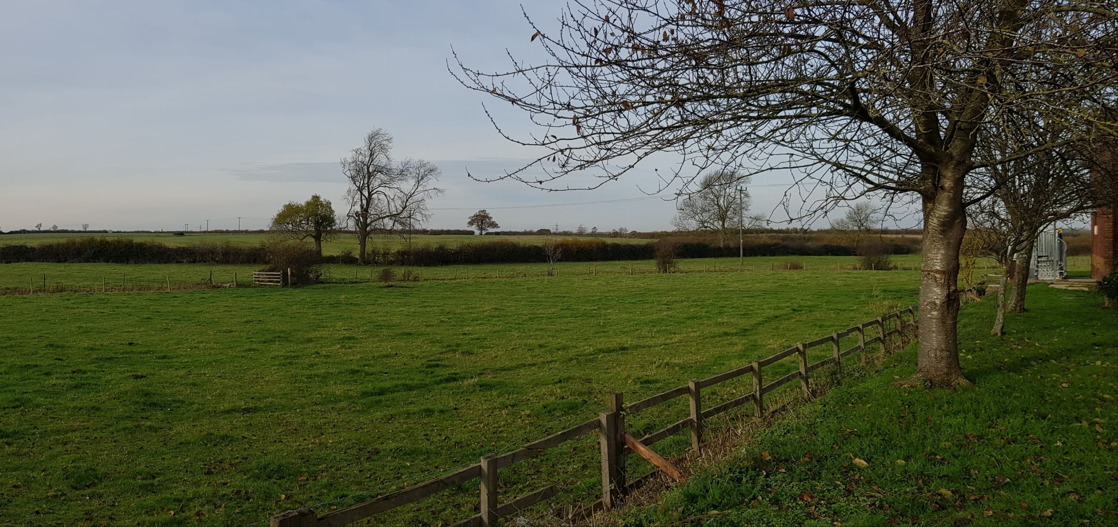 A grassy field with a wooden fence and leafless trees.