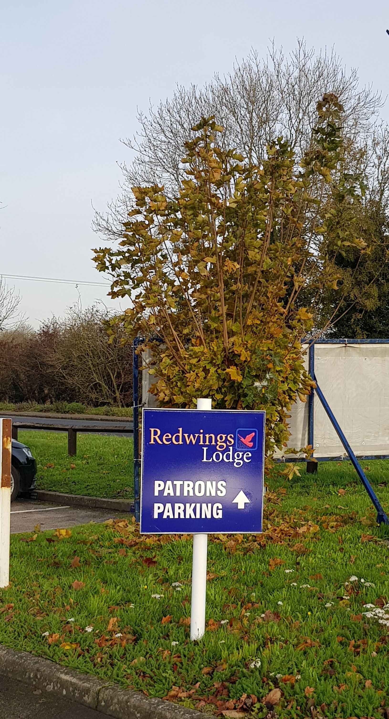 A sign for Redwings Lodge indicating patrons parking.