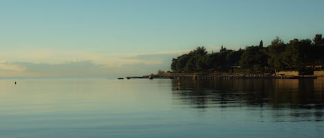 A calm lake with a shoreline lined with trees and a distant view of a city skyline.