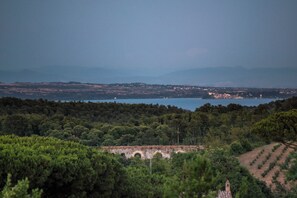 شرفة على السطح