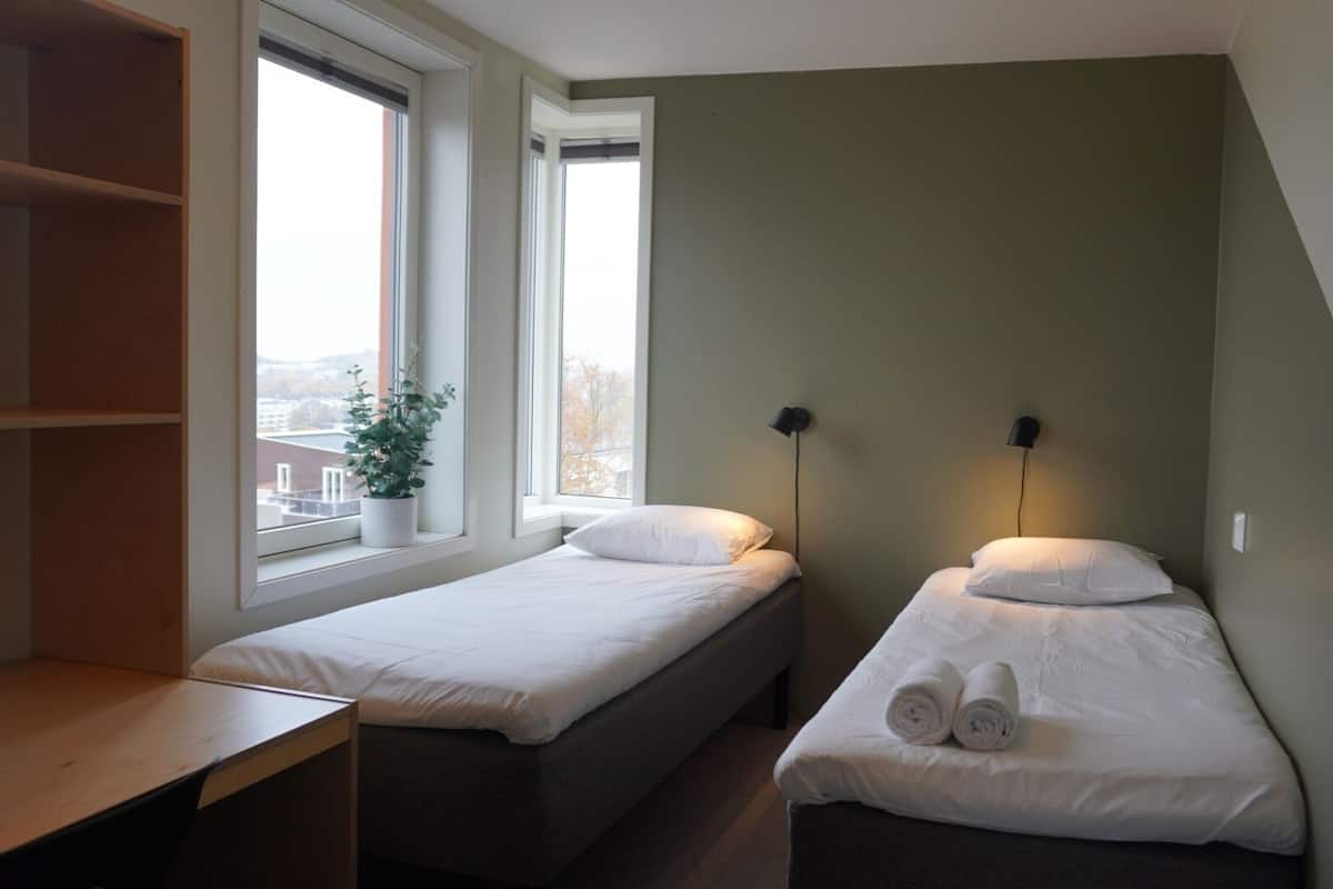 A small, modern room with two single beds, a desk, a window with a view of buildings, and a potted plant.