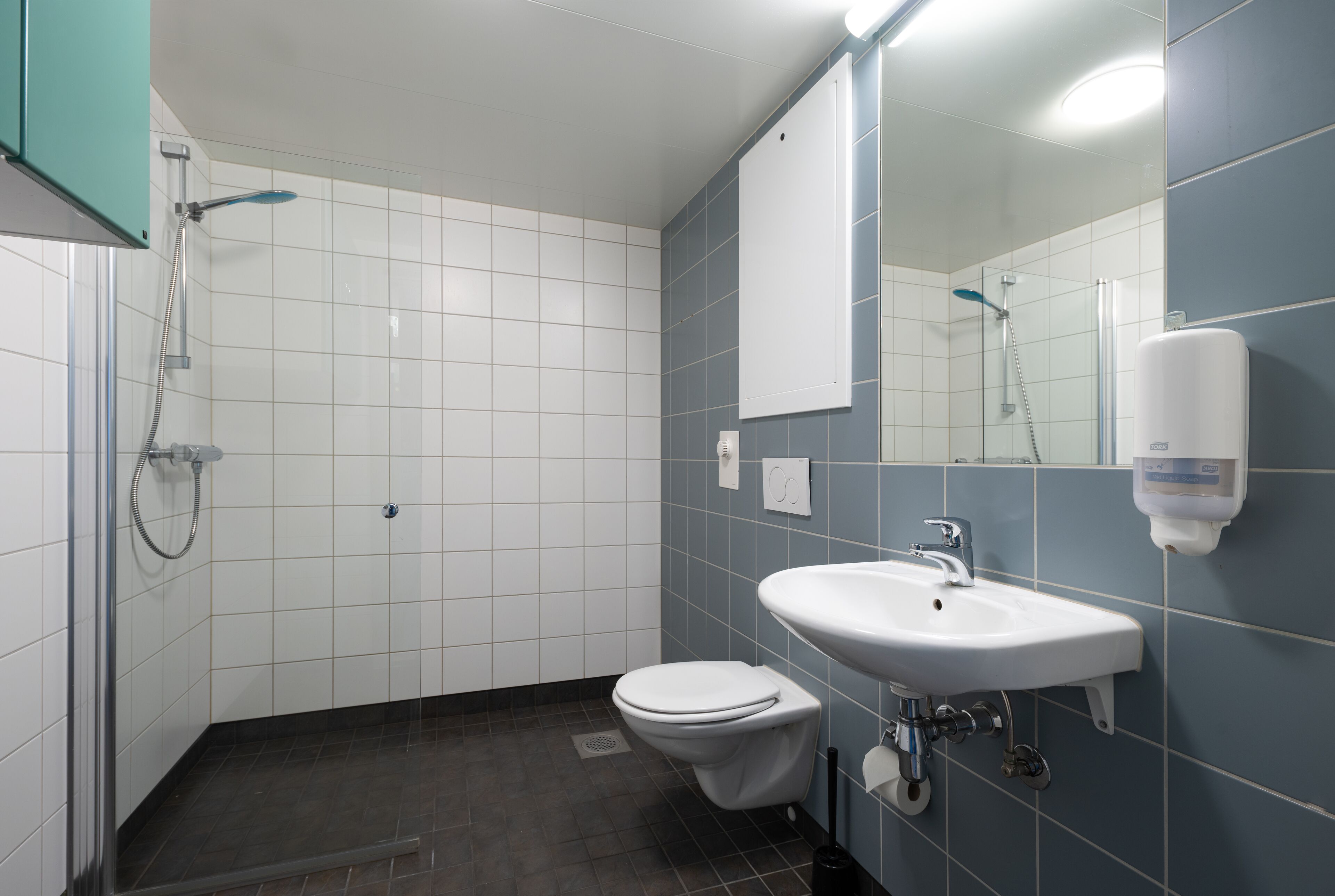 A modern bathroom with a shower, toilet, and sink.