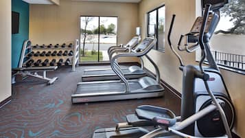 A gym with treadmills, ellipticals, and a rack of dumbbells.