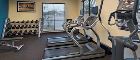 A gym with treadmills, dumbbells, and a bench.