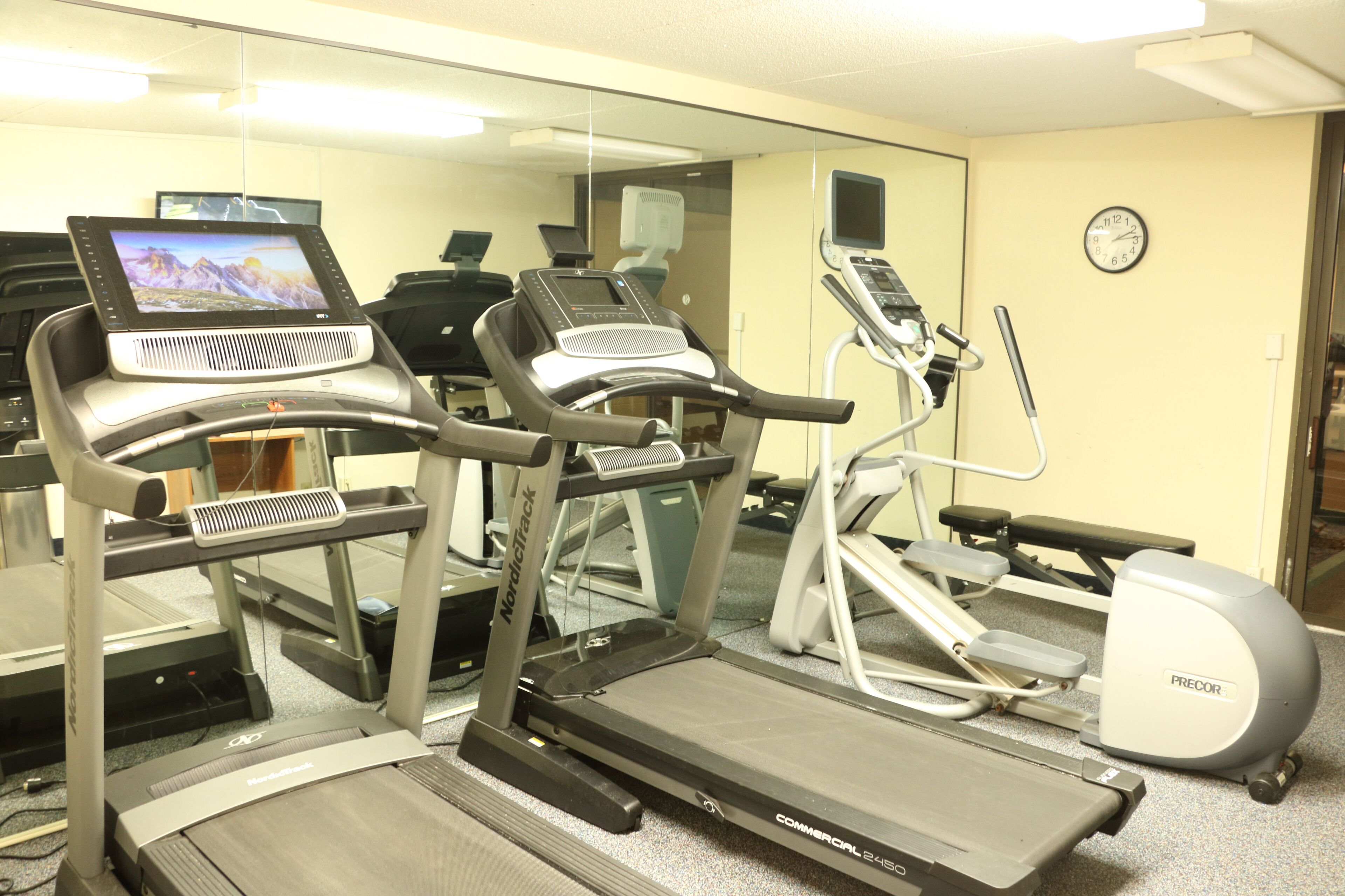 A gym with treadmills, ellipticals, and a stationary bike.