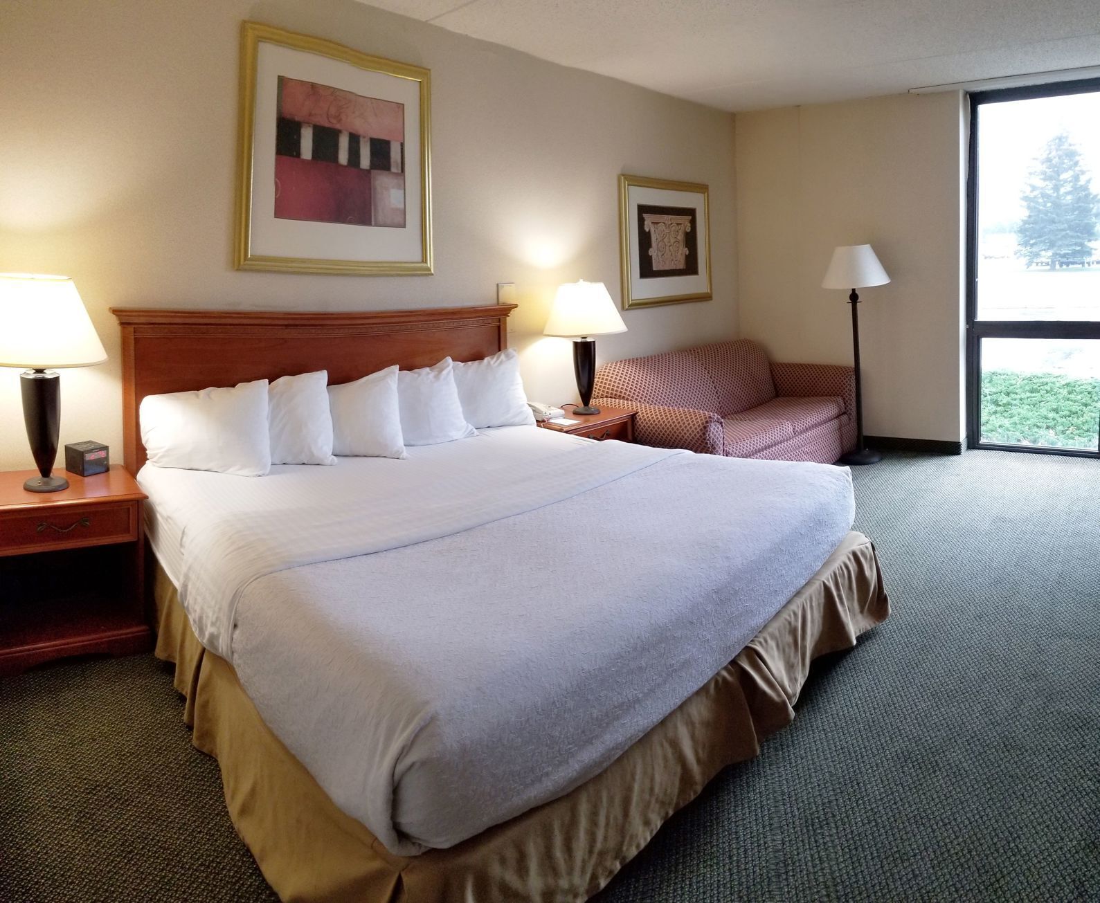 Pillowtop beds, desk, blackout drapes, iron/ironing board