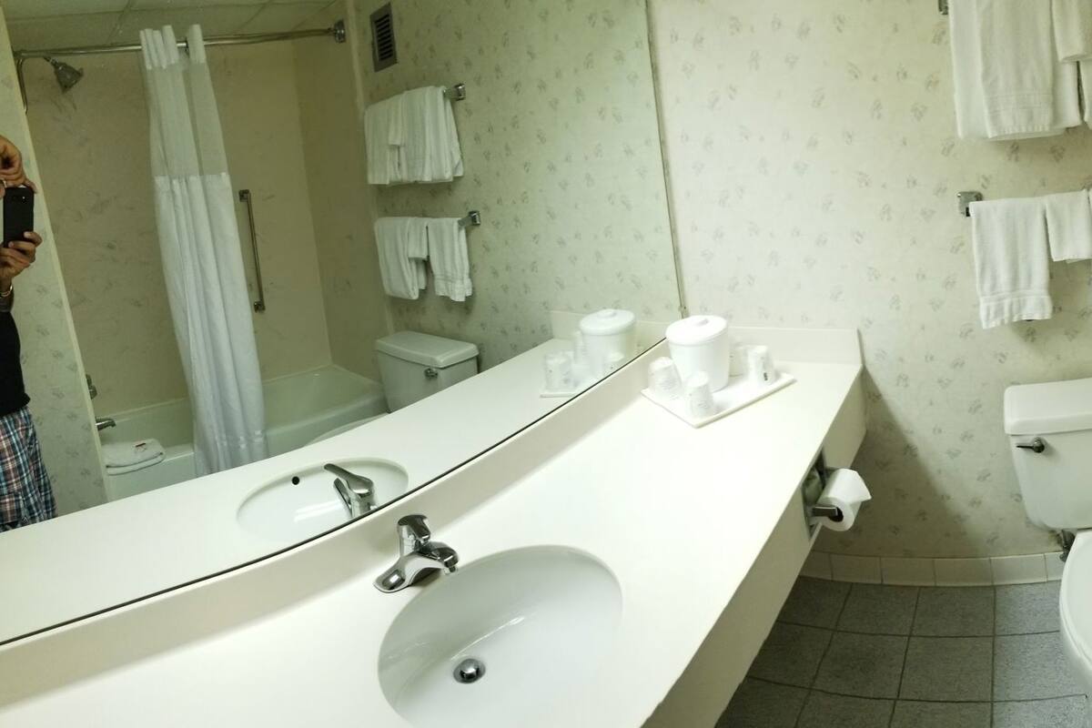 Bathroom | Combined shower/tub, free toiletries, hair dryer, towels