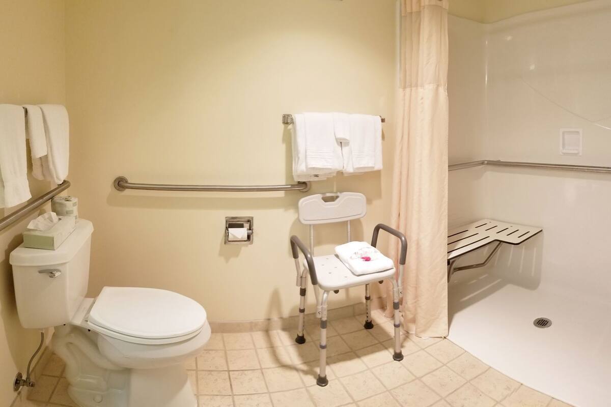 Bathroom | Combined shower/tub, free toiletries, hair dryer, towels