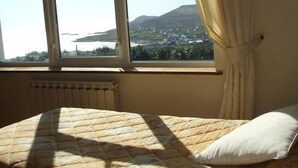 Una cama con colcha, una ventana con vista a un paisaje y un radiador.
