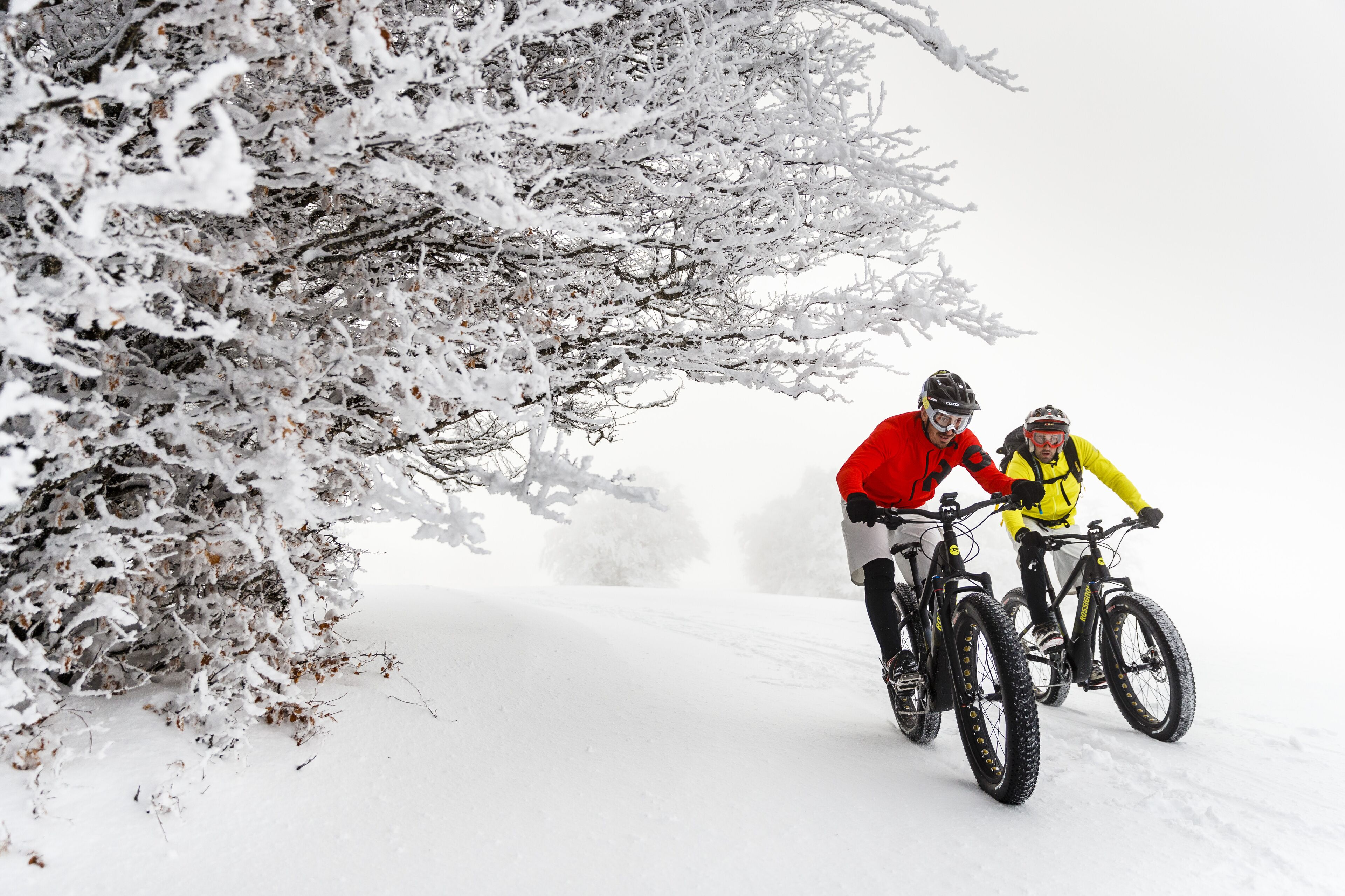 Two people on bicycles in a snowy landscape.