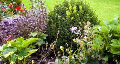Broadlands Bed and breakfast