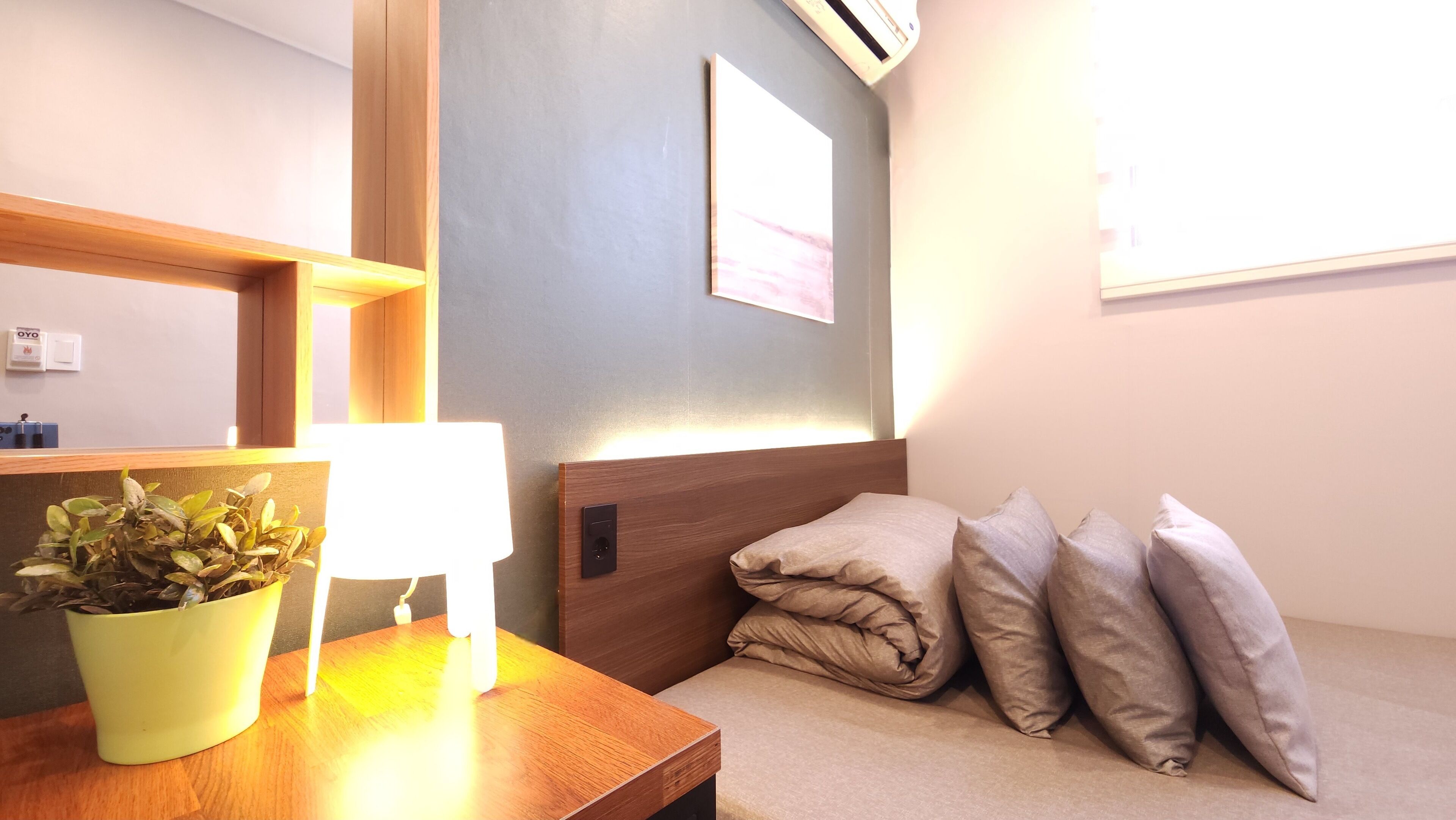 A hotel room with a wooden headboard, a bedside table with a lamp, a potted plant, and a window with daylight.