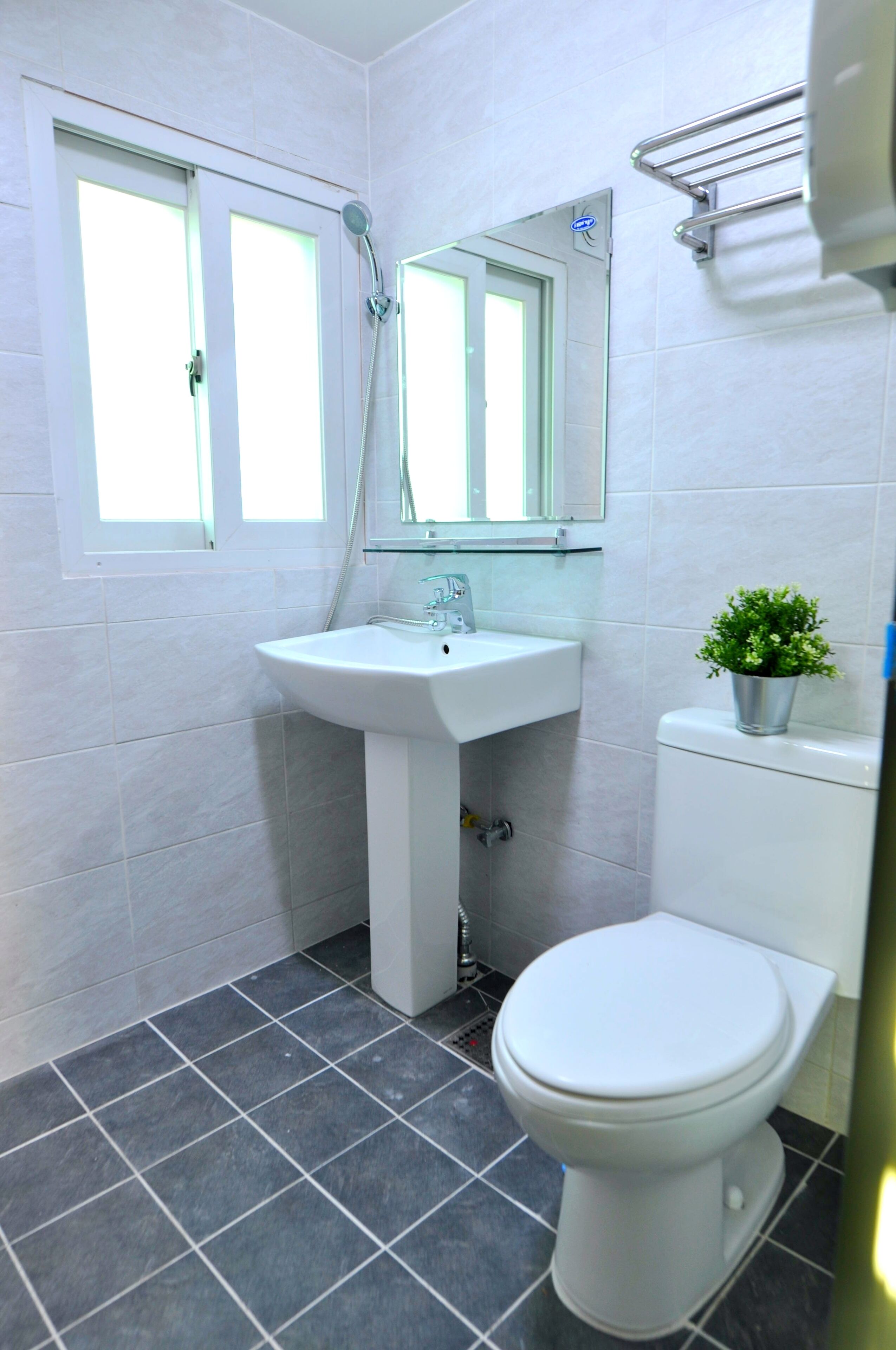 A bathroom with a white sink, toilet, and a small potted plant.