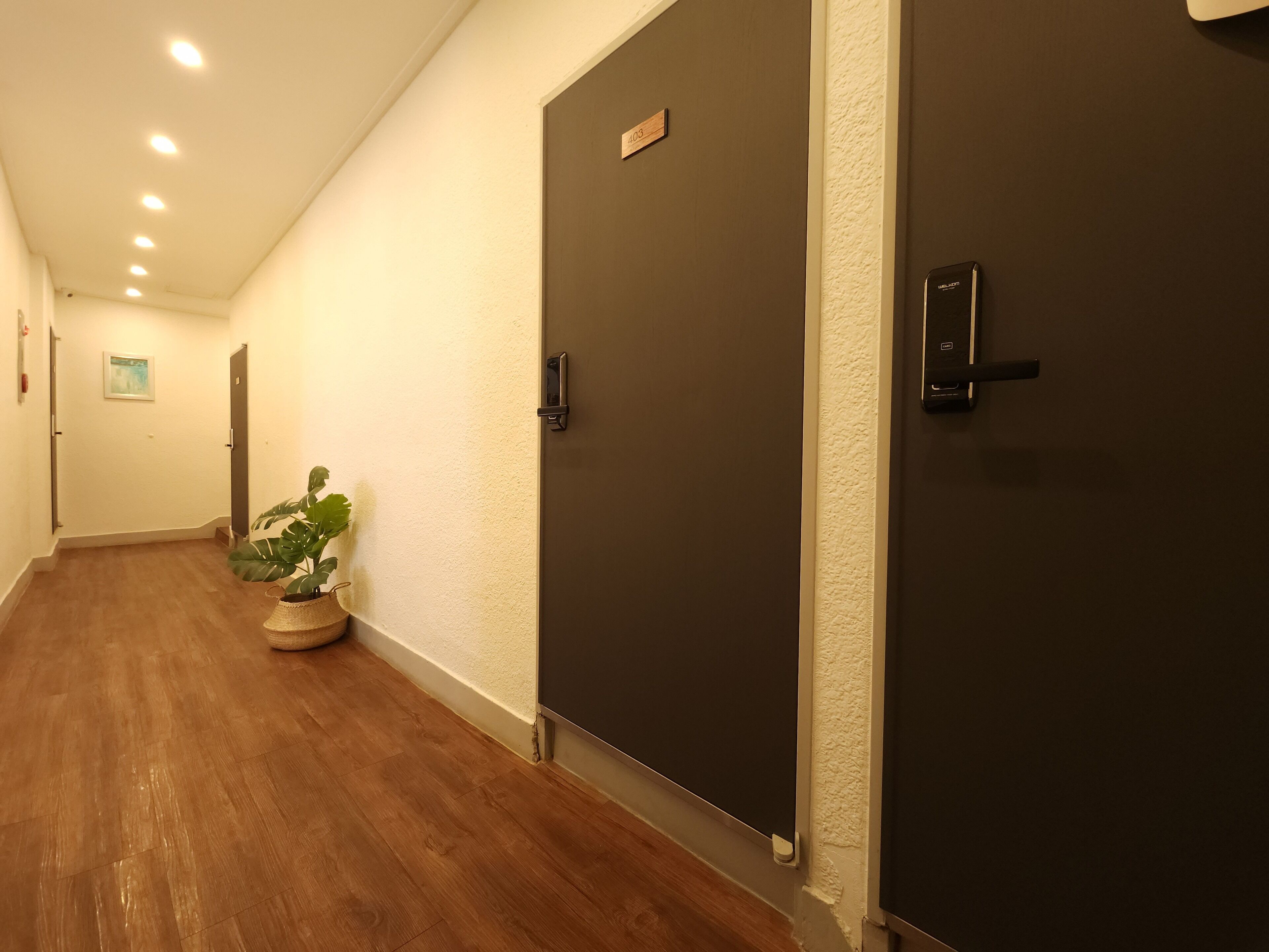 A hallway with wooden flooring, a potted plant, and two doors with a security device.