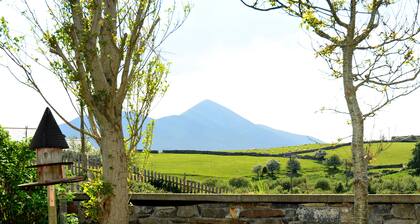 Lurgan House Bed & Breakfast