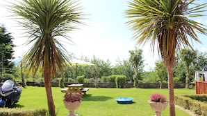 Een verzorgde tuin met gazon, twee palmbomen, een picknicktafel en een blauw decoratief vijver.