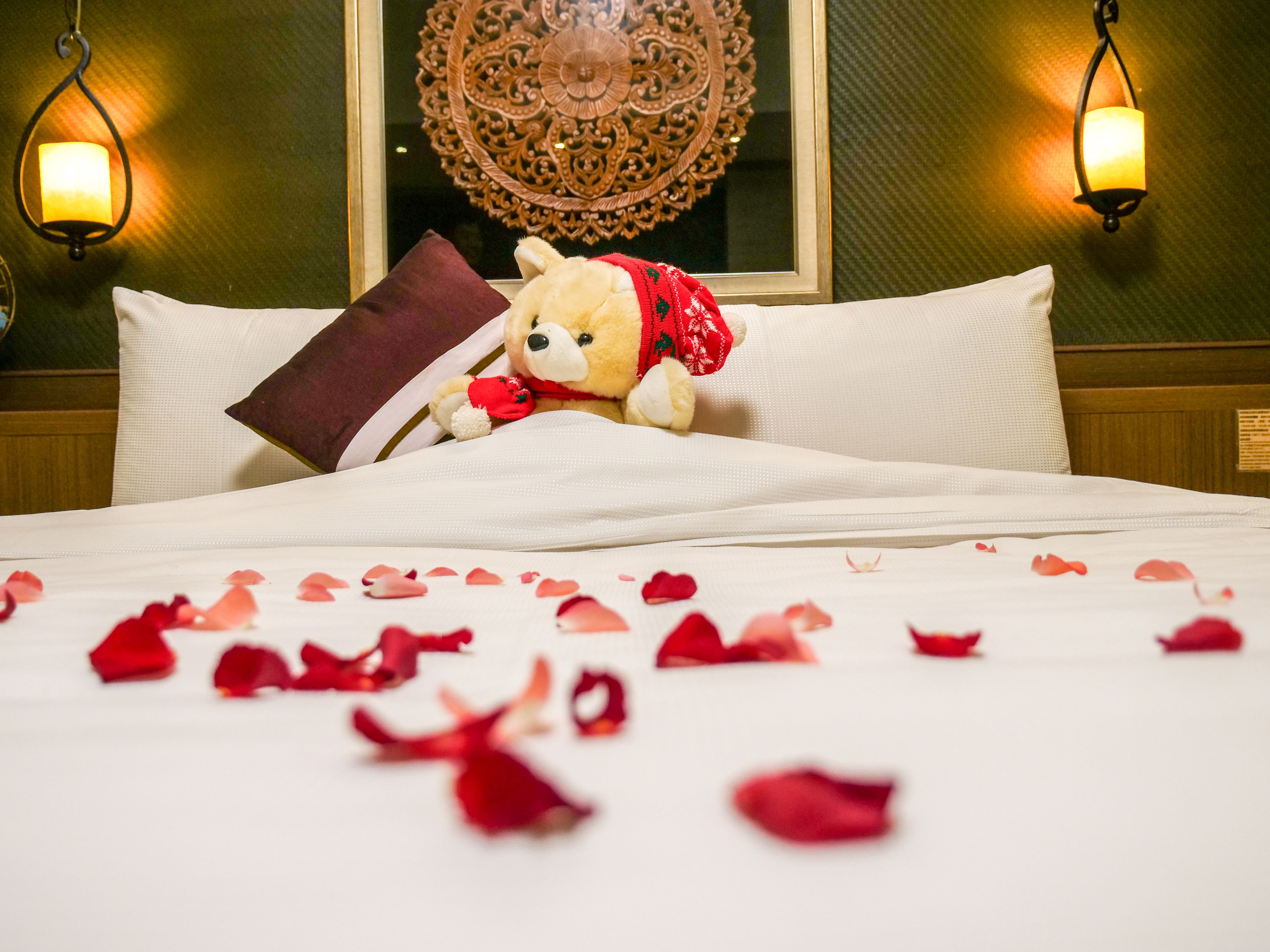 A bed with rose petals scattered on it, a teddy bear wearing a red scarf, and two wall-mounted lamps.