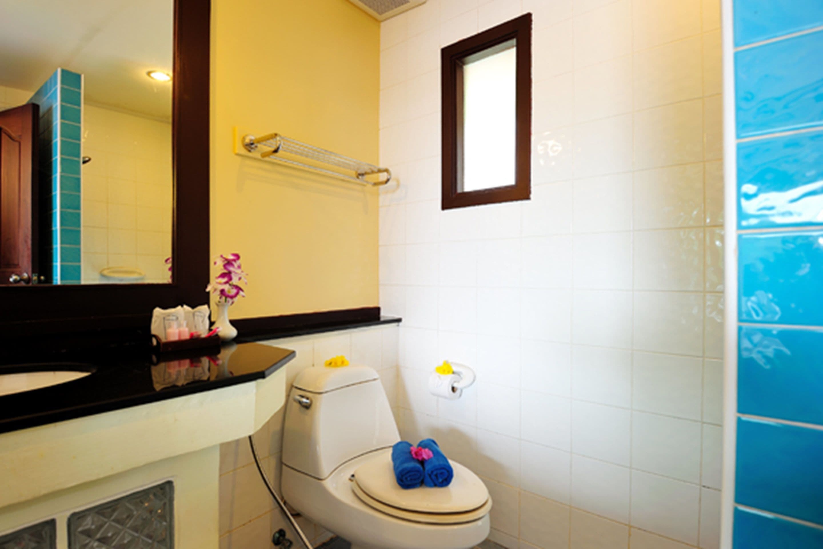 A bathroom with a white toilet, a black sink, and a mirror above the sink.