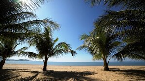 Una playa con palmeras y una vista despejada del océano.