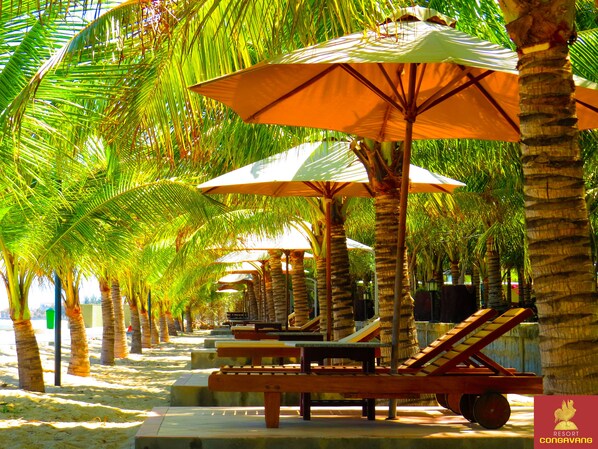 Tæt på stranden, liggestole, parasoller, volleyball