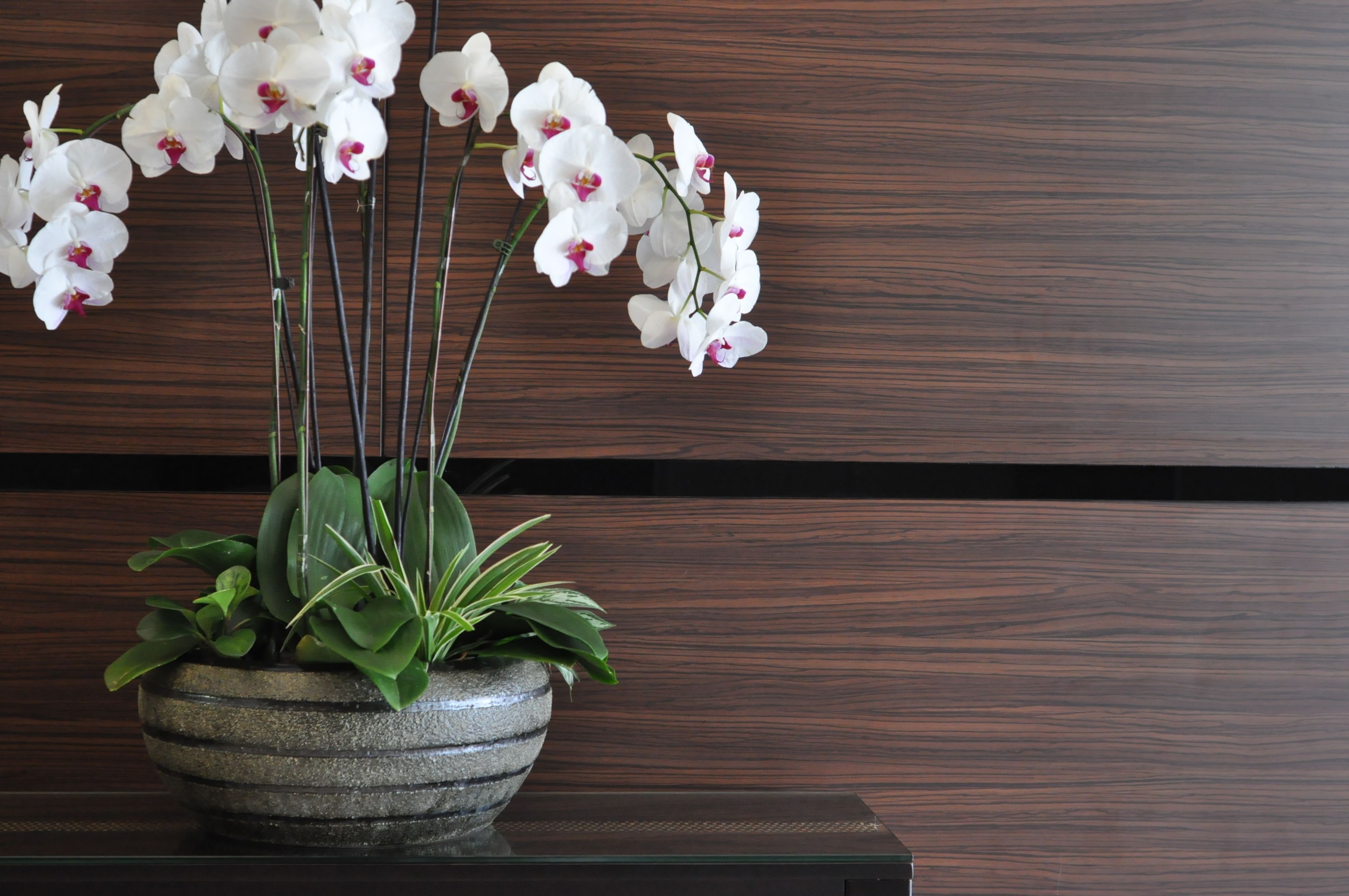 Foto - Dreamtel Kota Kinabalu