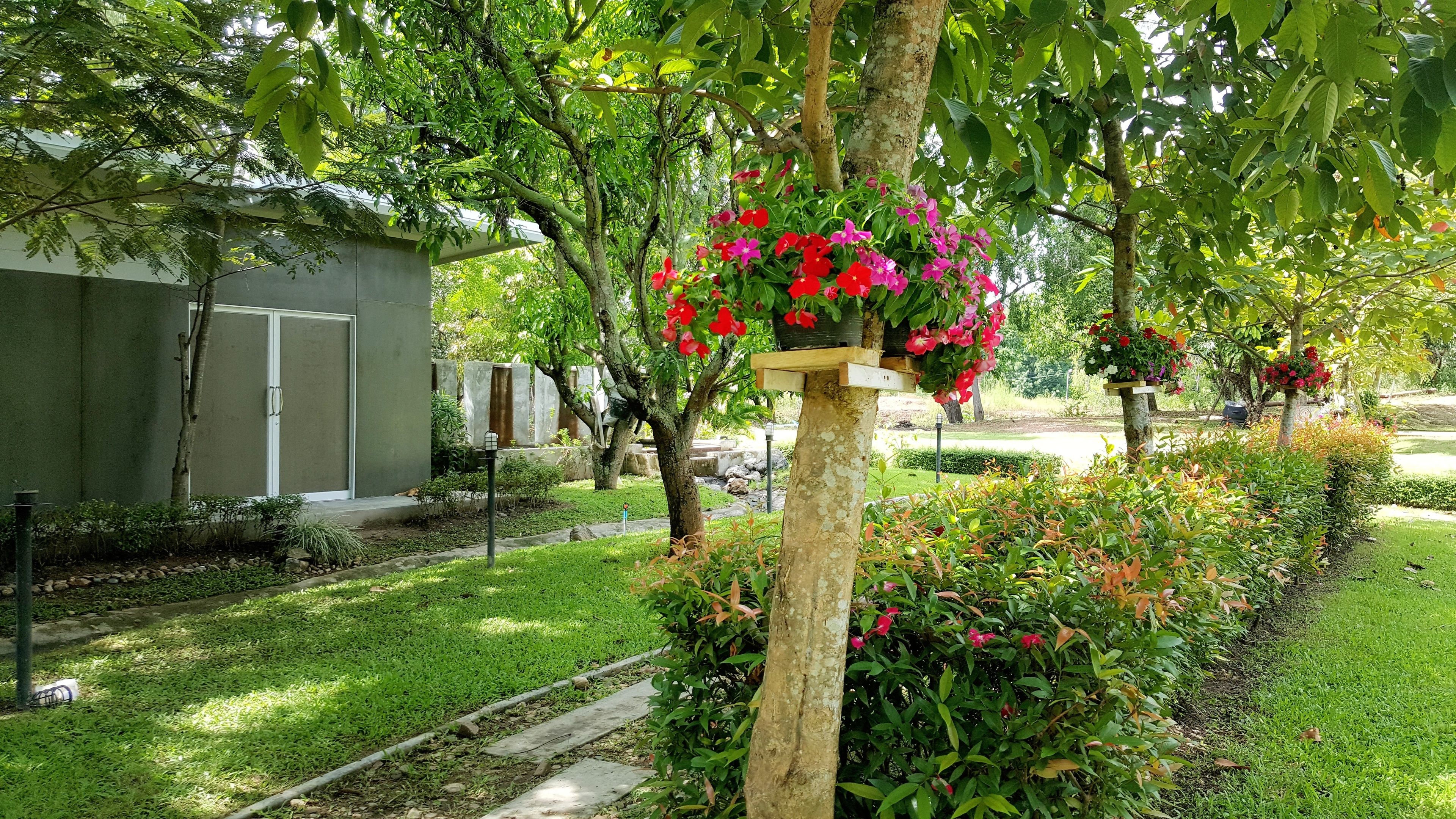 A garden with a pathway, a building with a door, and flowering plants.