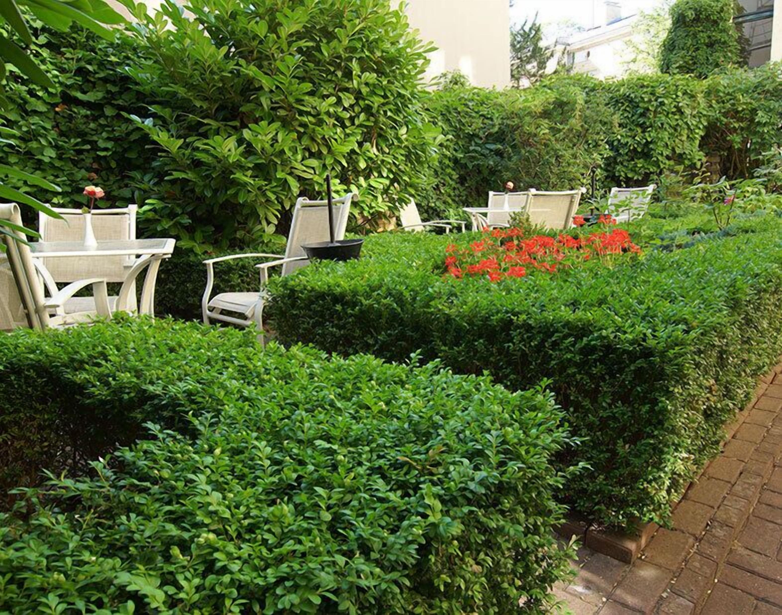 Photo - Hotel am Luisenplatz