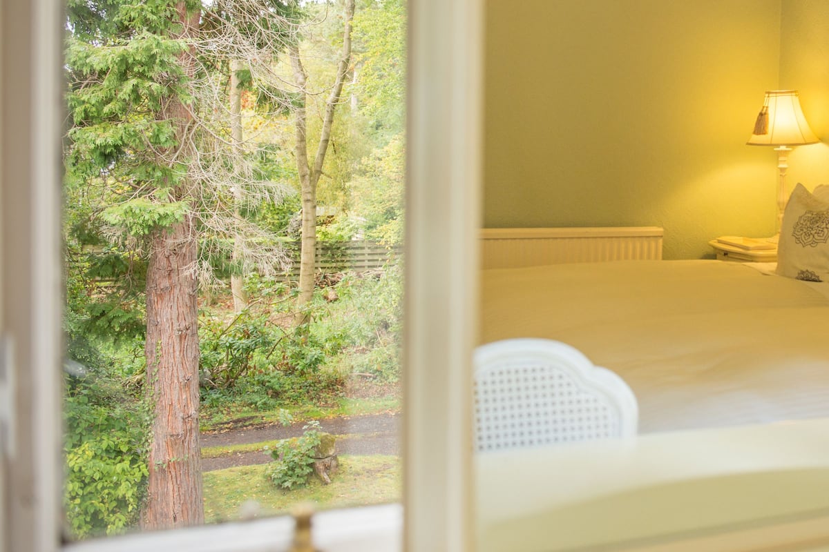 A bedroom with a bed, a bedside table, a lamp, and a view of a forest through a window.