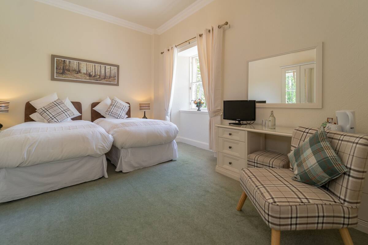 A bedroom with two beds, a television, a dresser, and a chair.