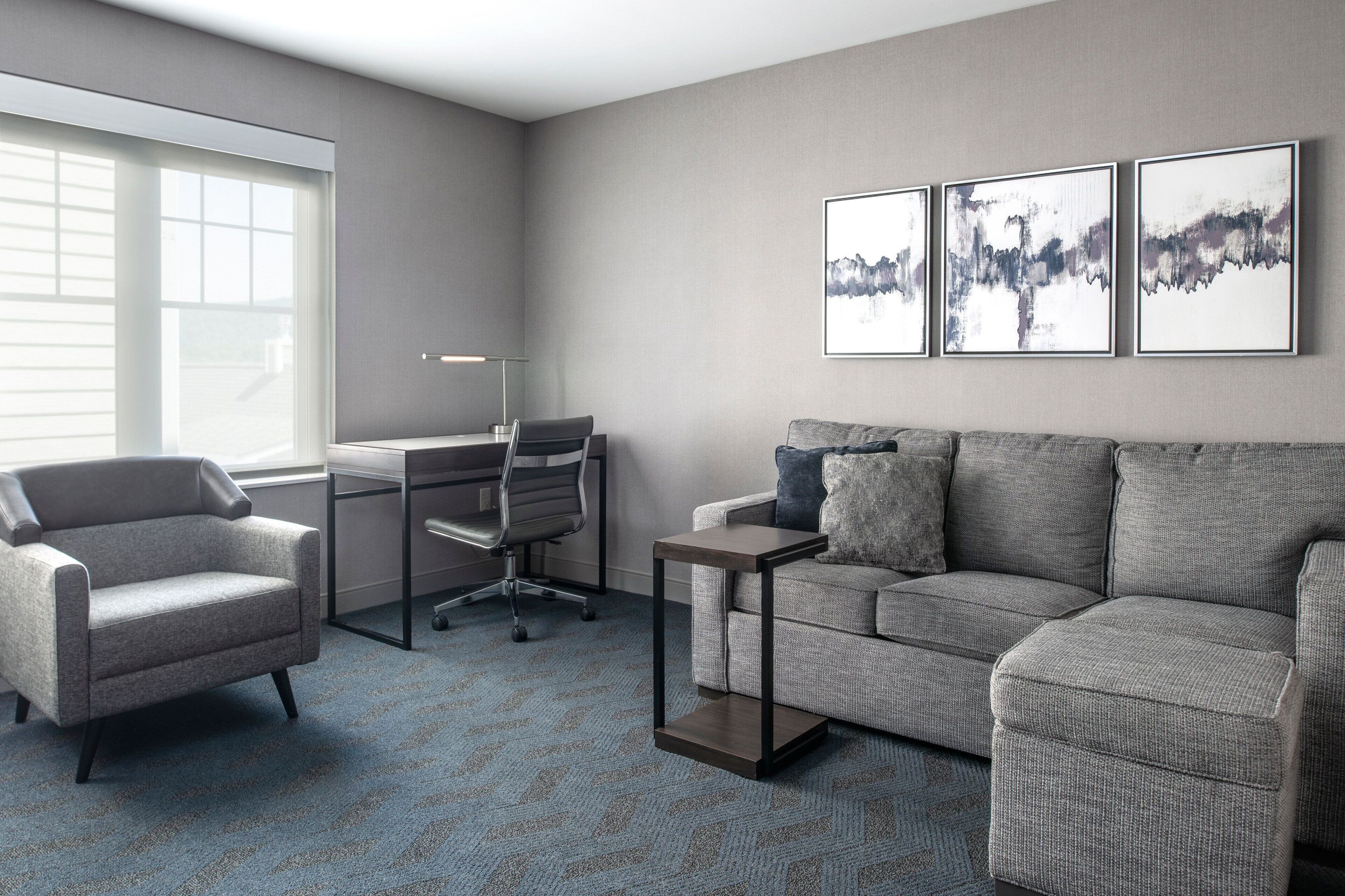 39-英寸液晶电视 （配备卫星频道）、电视