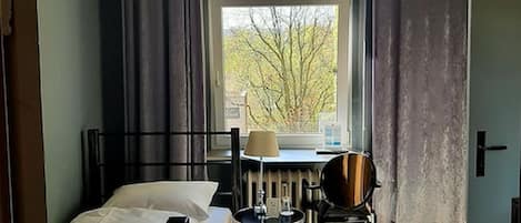 Habitación individual estándar | Ropa de cama hipoalergénica y edredón