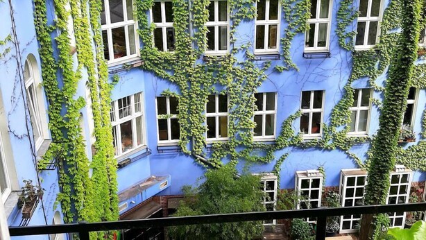 Un bâtiment aux murs bleus, doté de nombreuses fenêtres recouvertes de lierre vert.
