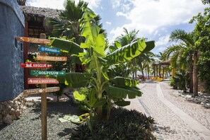 Beach nearby, beach cabanas, sun loungers, beach towels - Blue Bay Lodges (Sint Michiel)