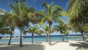 Una playa con palmeras y un cielo azul despejado.