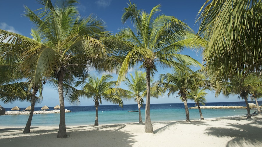 Blue Bay Lodges