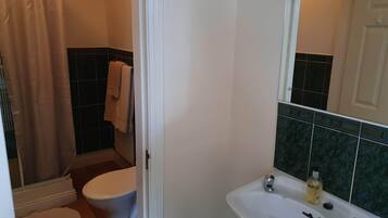 A bathroom with a toilet, sink, and shower curtain.
