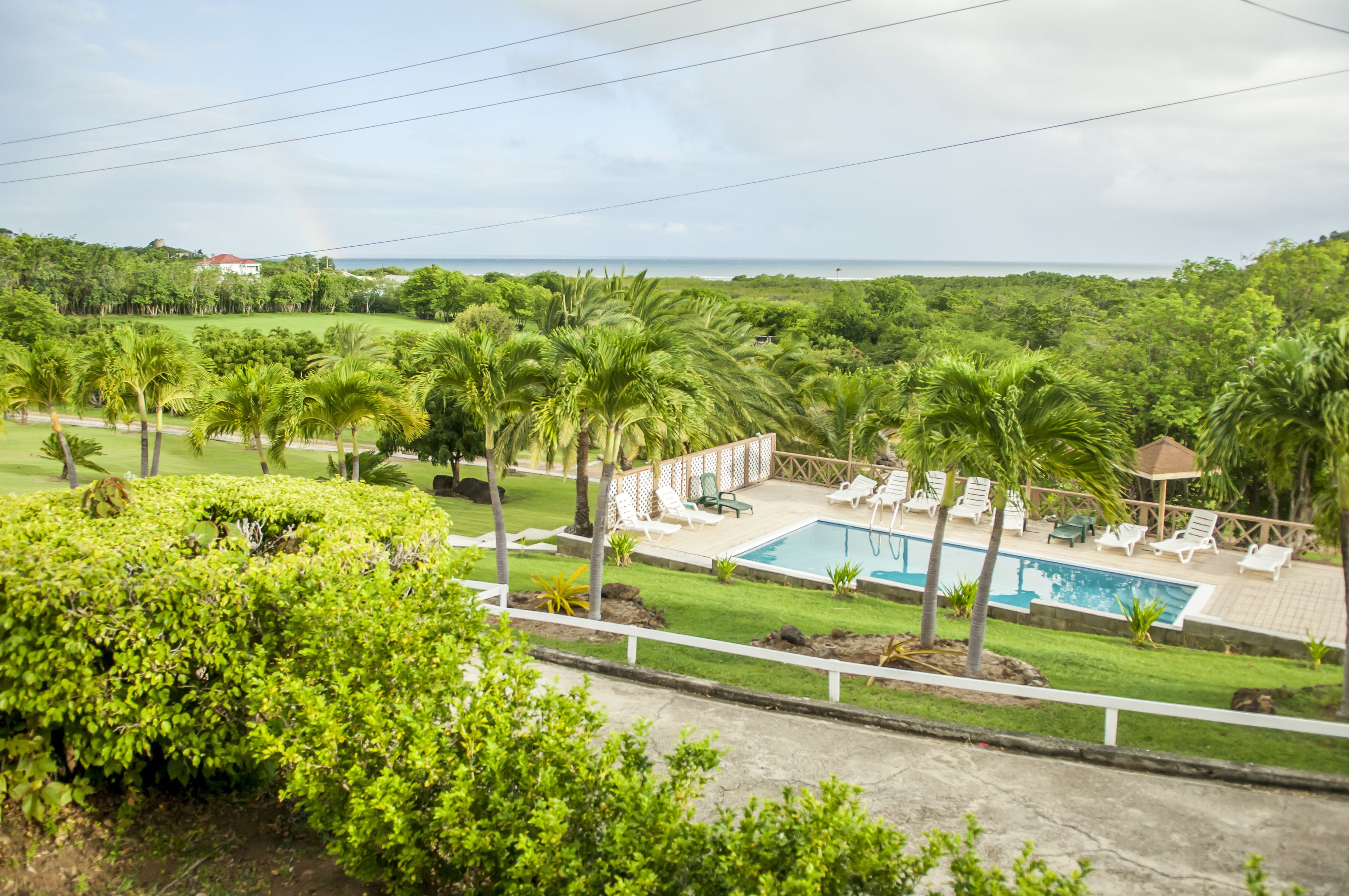 A pool area with lounge chairs and palm trees, surrounded by lush greenery and a view of the ocean.