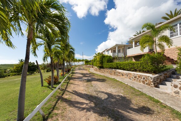 A pathway lined with palm trees leading to a house with a stone retaining wall and a balcony. - South Coast Horizons (Cades Bay)