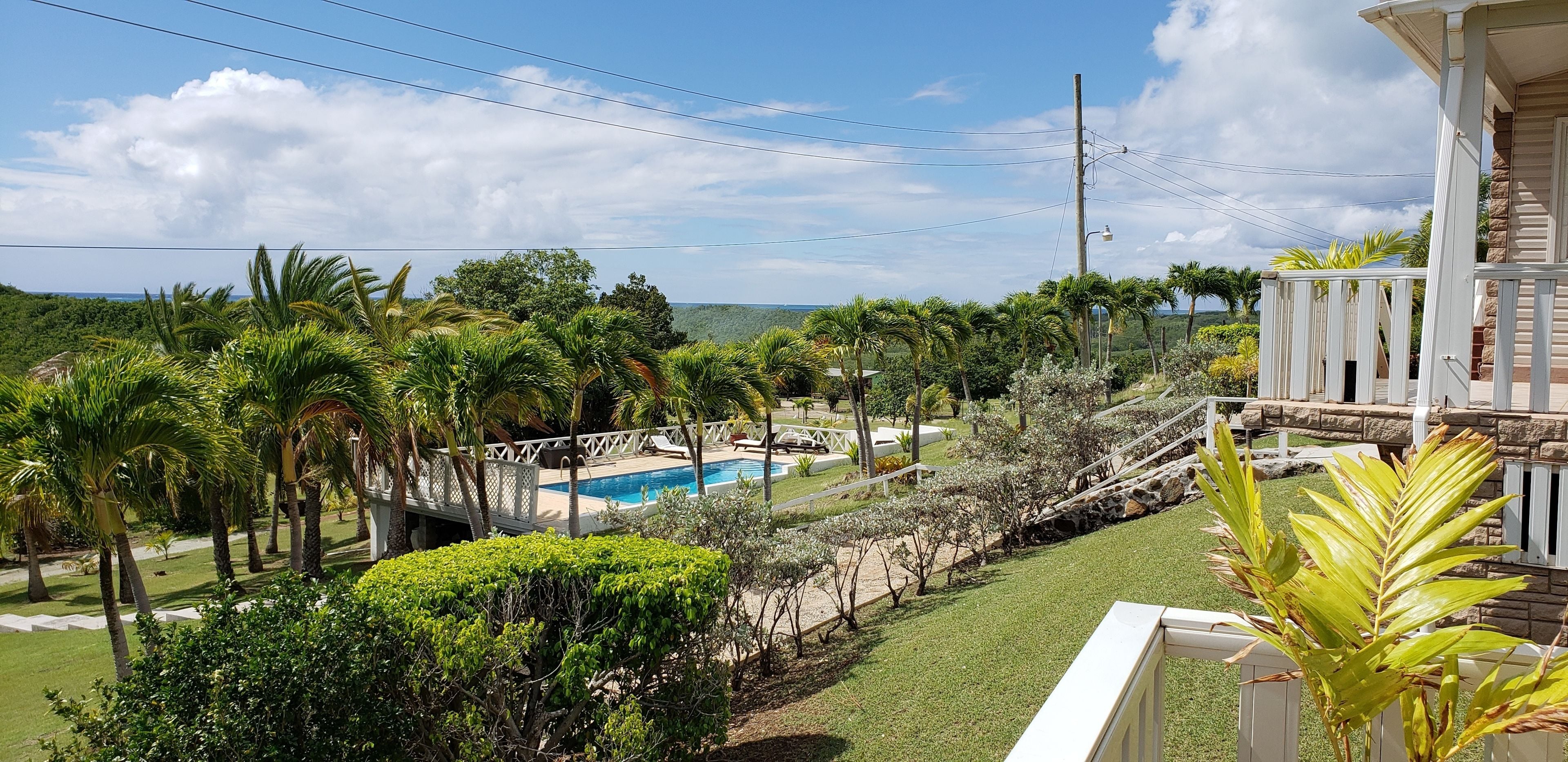 A pool area with a view of the ocean, surrounded by palm trees and a white fence.